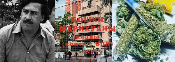 ГАЛЛЮЦИНОГЕННЫЕ ГРИБЫ Нефтегорск