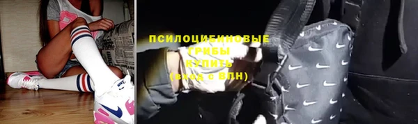 мдпв Анива